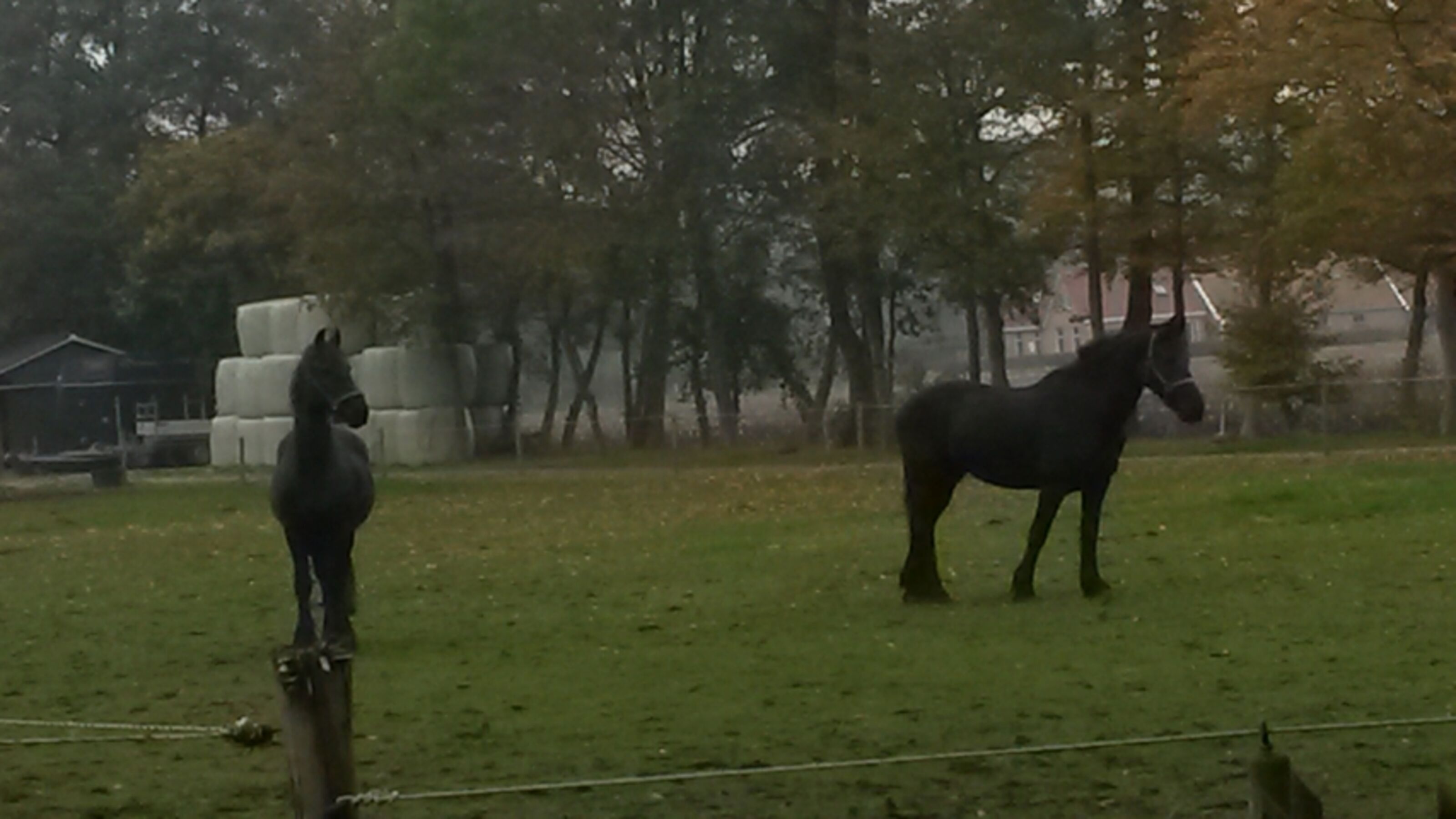 Bild 19