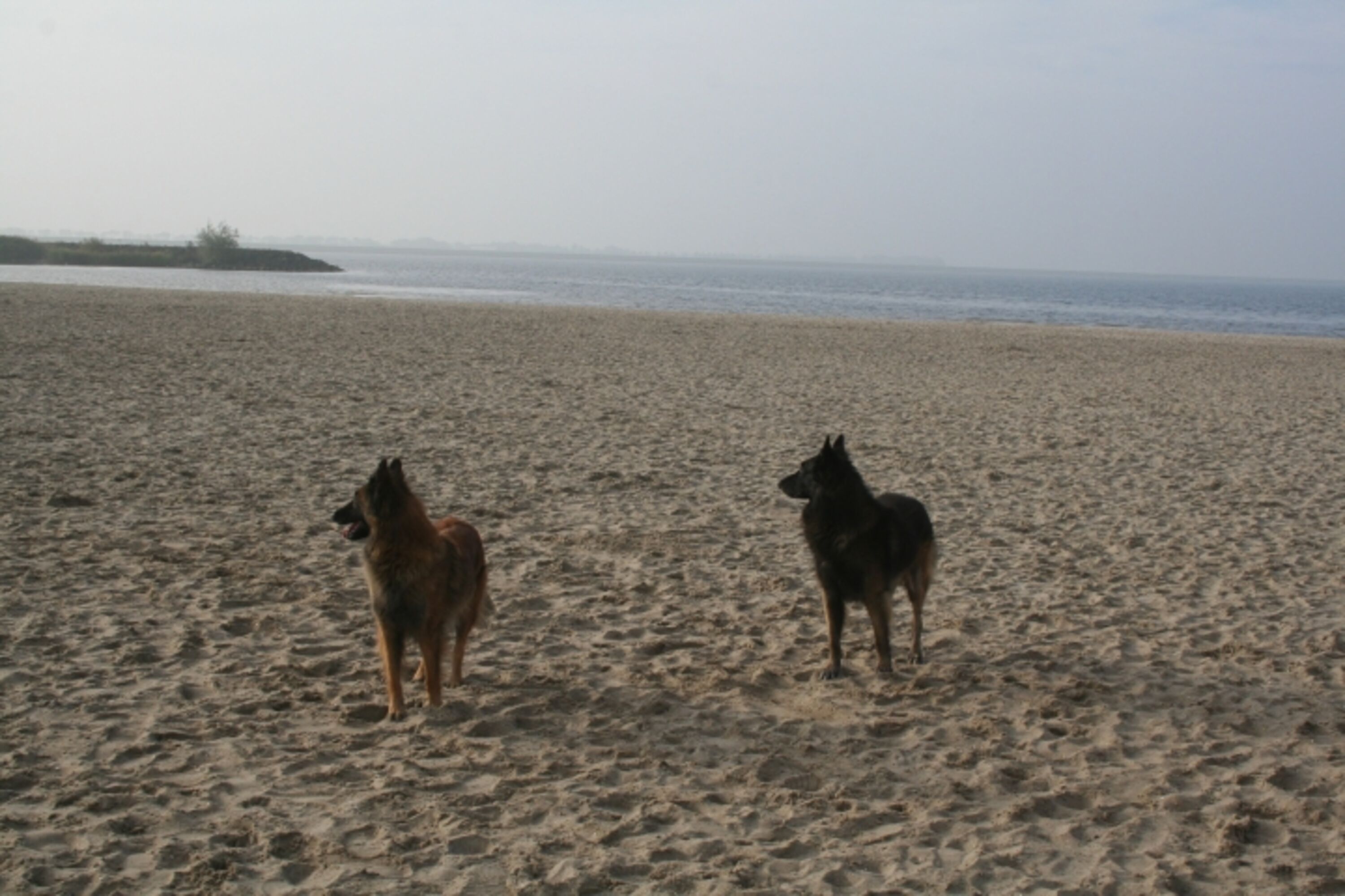 Bild 22