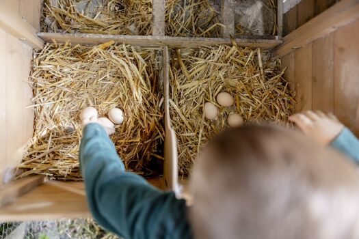 Eiersuche vor dem Frühstück
