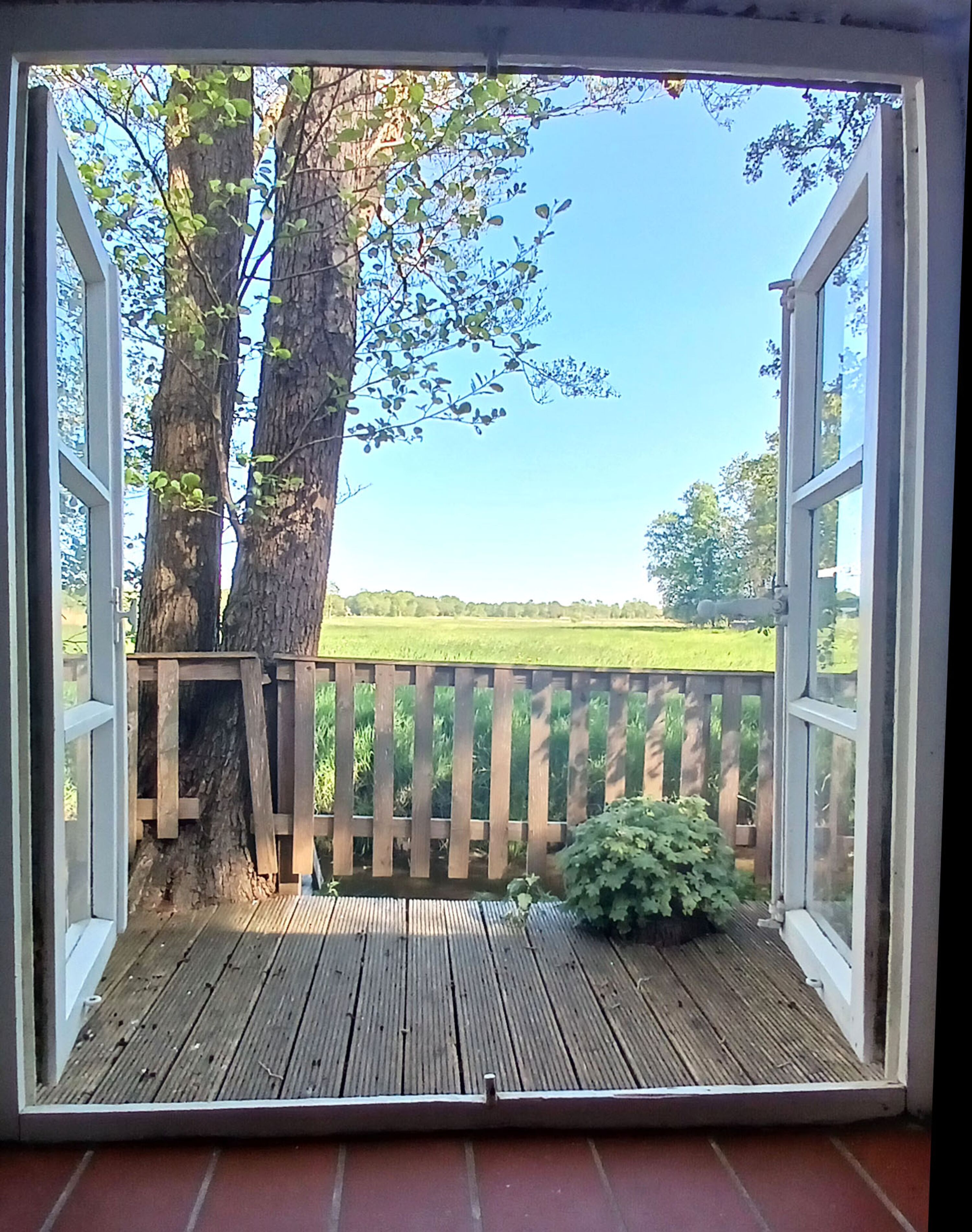 Blick aus der Küche zur Terrasse zum Osten