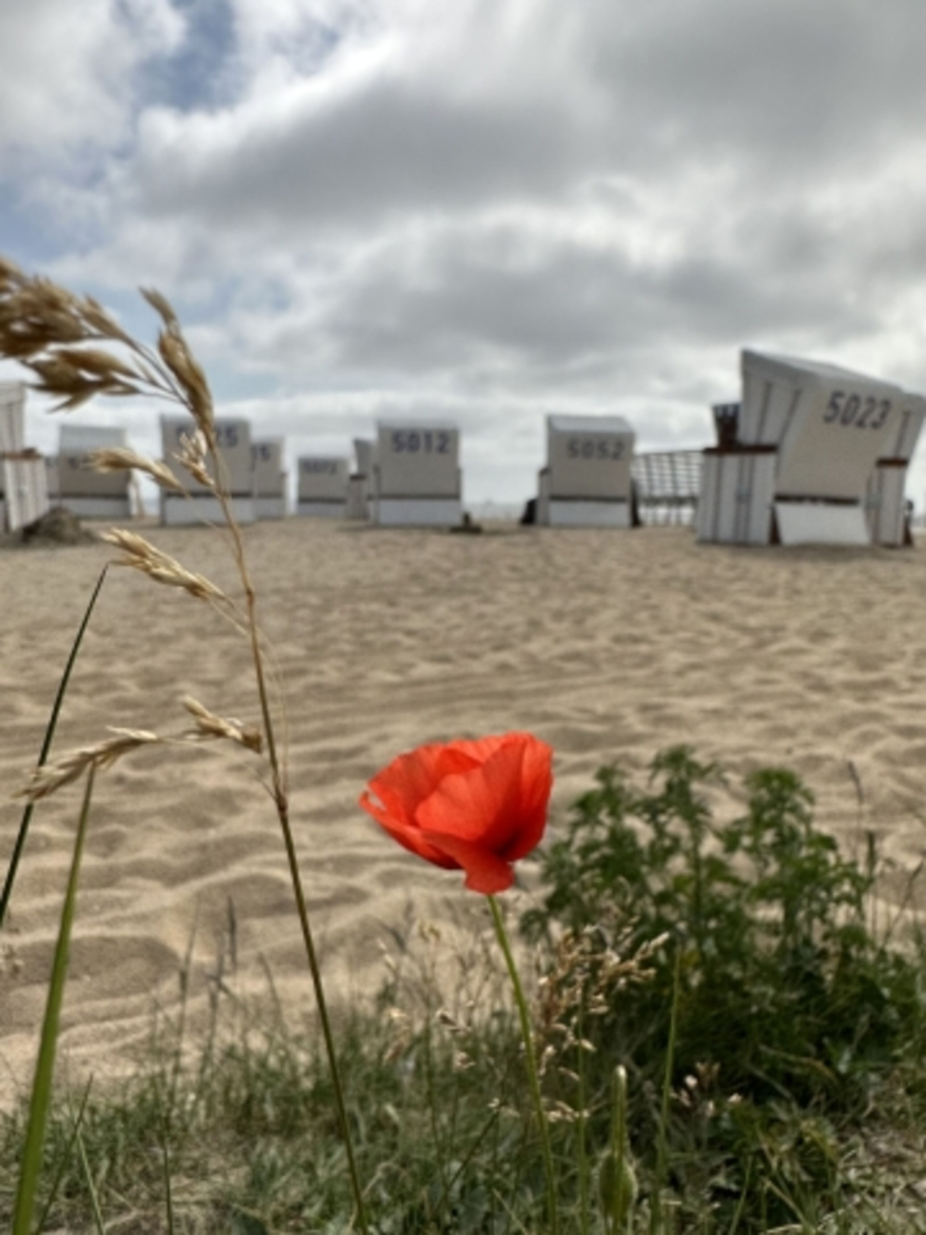 Bild 15