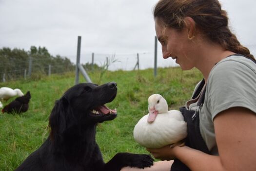 Das bin ich mit Willi, unserem Hund und den Enten. 