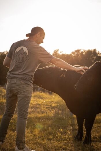 Louis und die Rinder