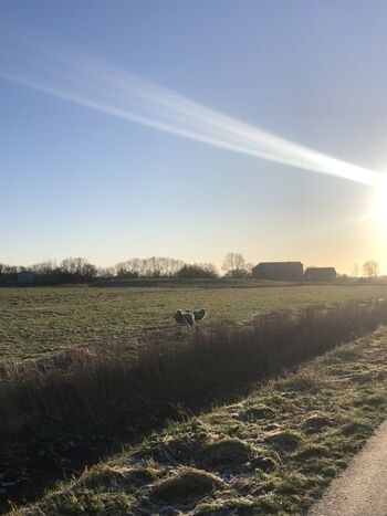 Hier kannst du spazieren gehen