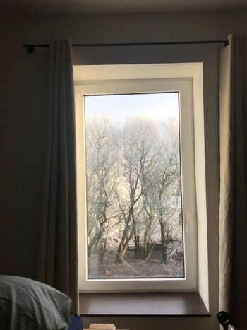 Der Ausblick die Hühner