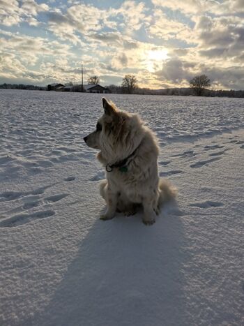 Endlose Spazierwege direkt vom haus aus zu erreichen