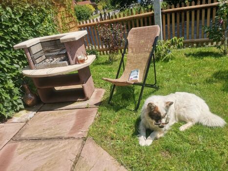 Gemütlicher Grillplatz