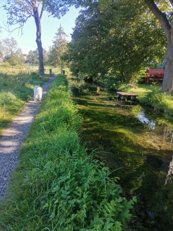 Wielenbach zu Fuß in 5 min zu erreichen 