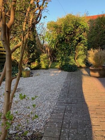 Garten (eingezäunt)