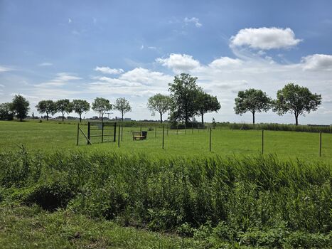 KatenWiese - 2500m² eingezäunte Freilauffläche mit Blick über die Felder