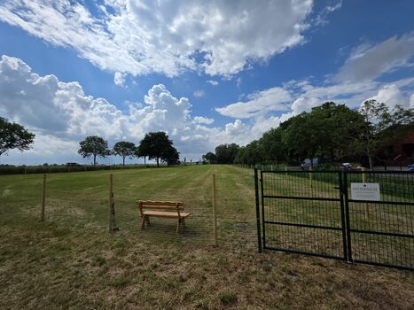 KatenWiese - 2500m² eingezäunte Freilauffläche