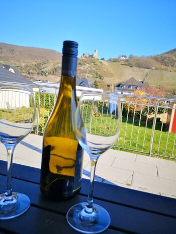 Blick zur Burg und ins Moselatl