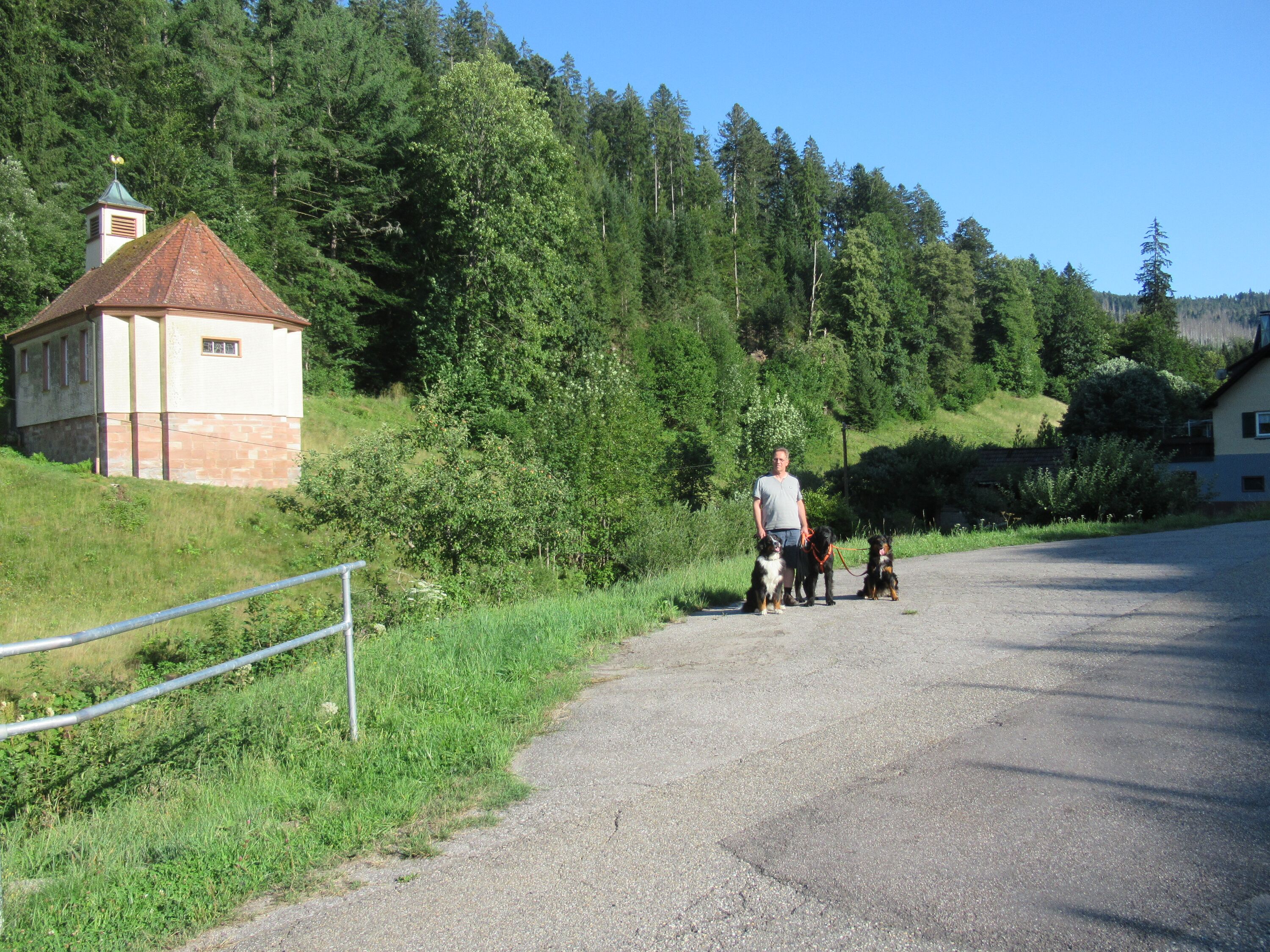 Bild 24