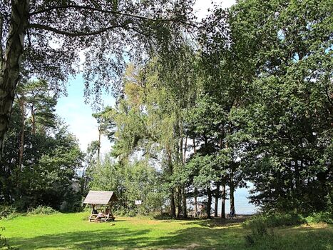 Weg zum eigenen Strand des Ferienparks Lenzer Höh mit Badesteg