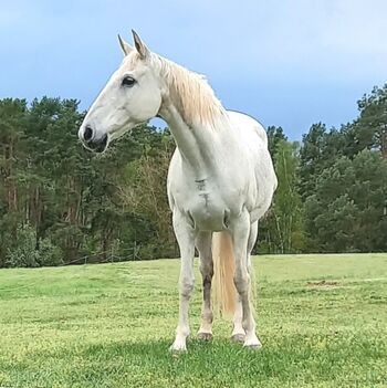 Pferdehof vor der Tür 