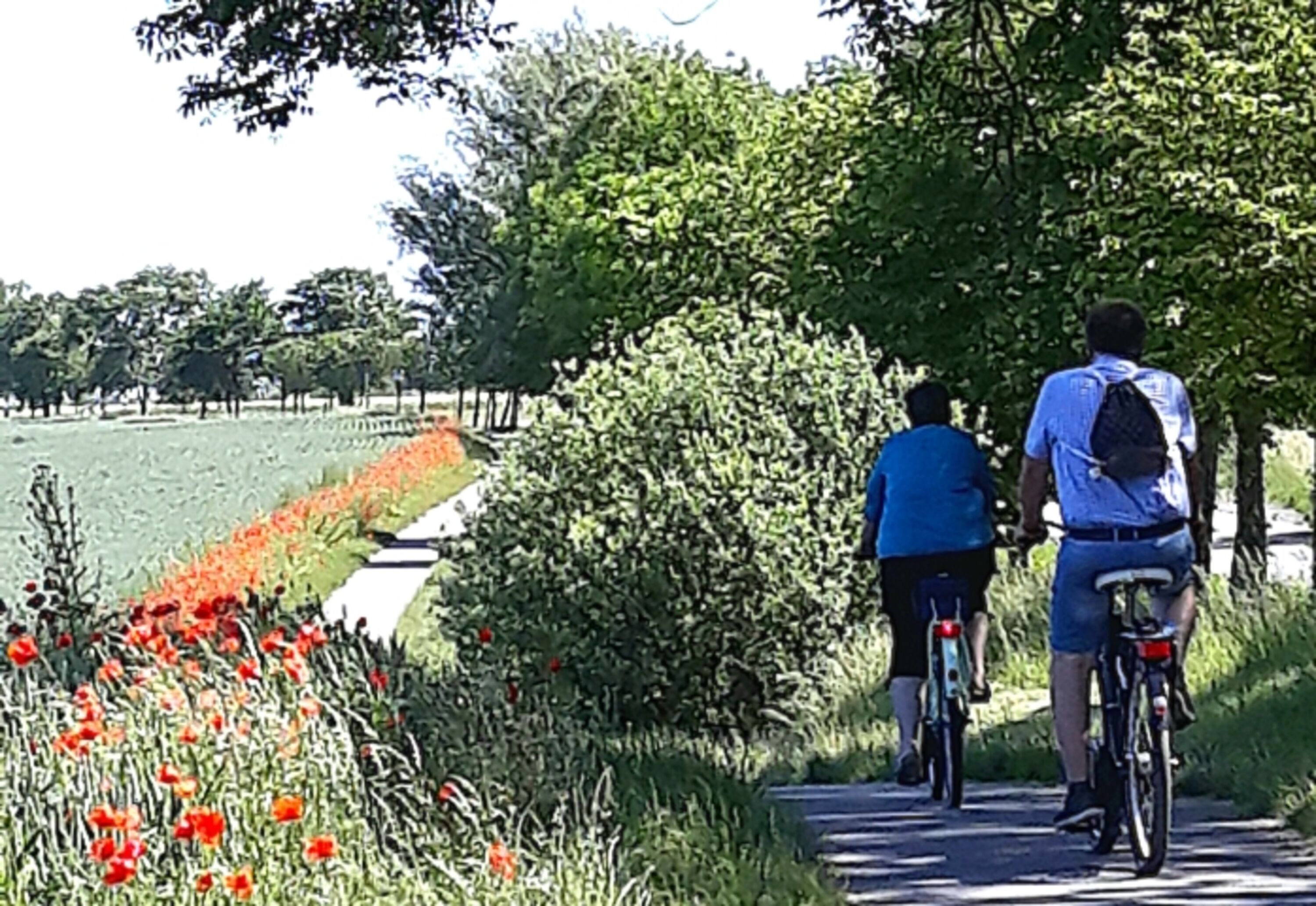romantische Radwege um die Seen 