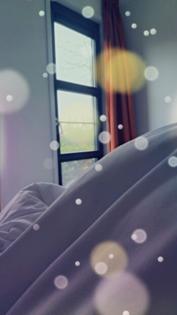 Farbenspiel im Gegenlicht