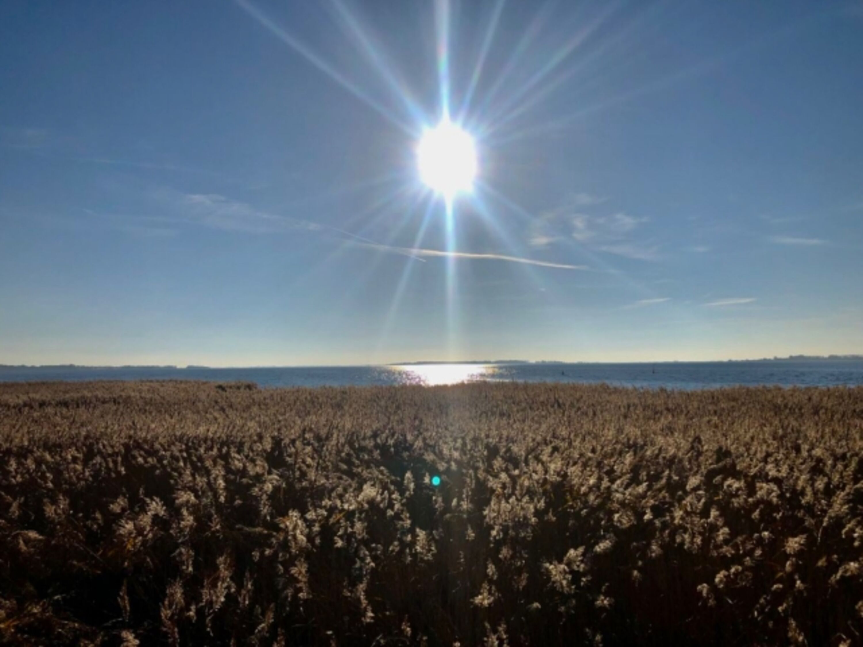 Vor der Haustür (100m) mit Blick auf Hiddensee