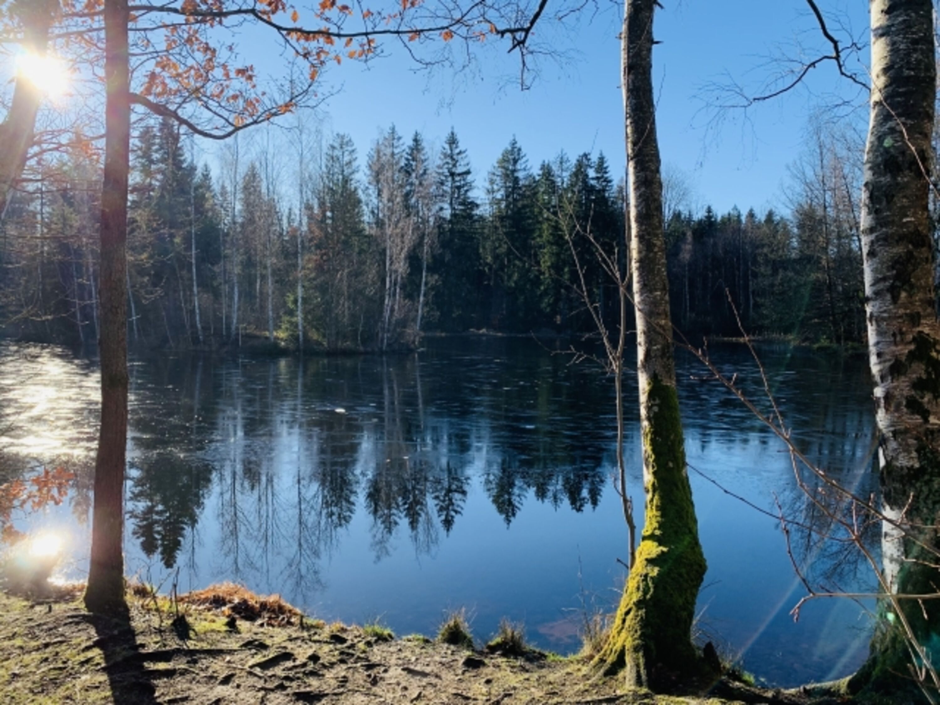 Teich zum Spazieren