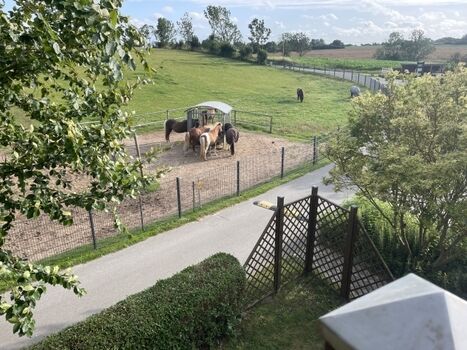 Der Ausblick vom Essbereich und vom Balkon