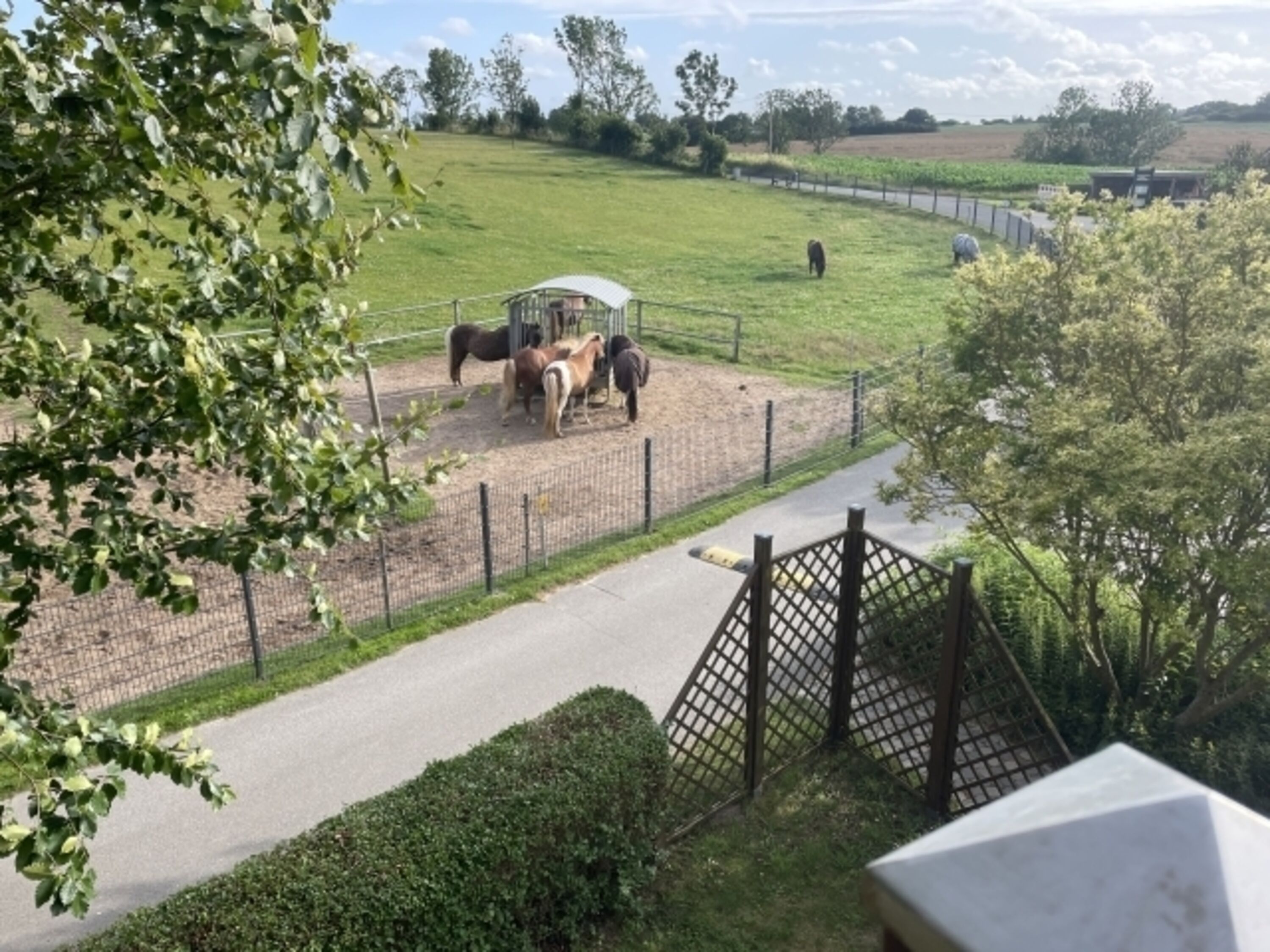 Der Ausblick vom Essbereich und vom Balkon
