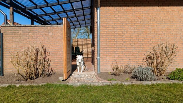 Zugang Terrasse vom Garten 