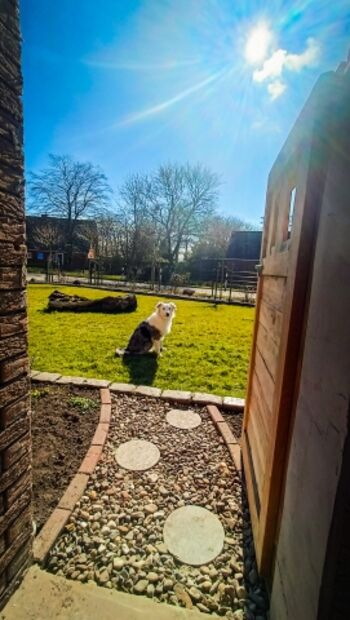 Zugang Garten von Terrasse 