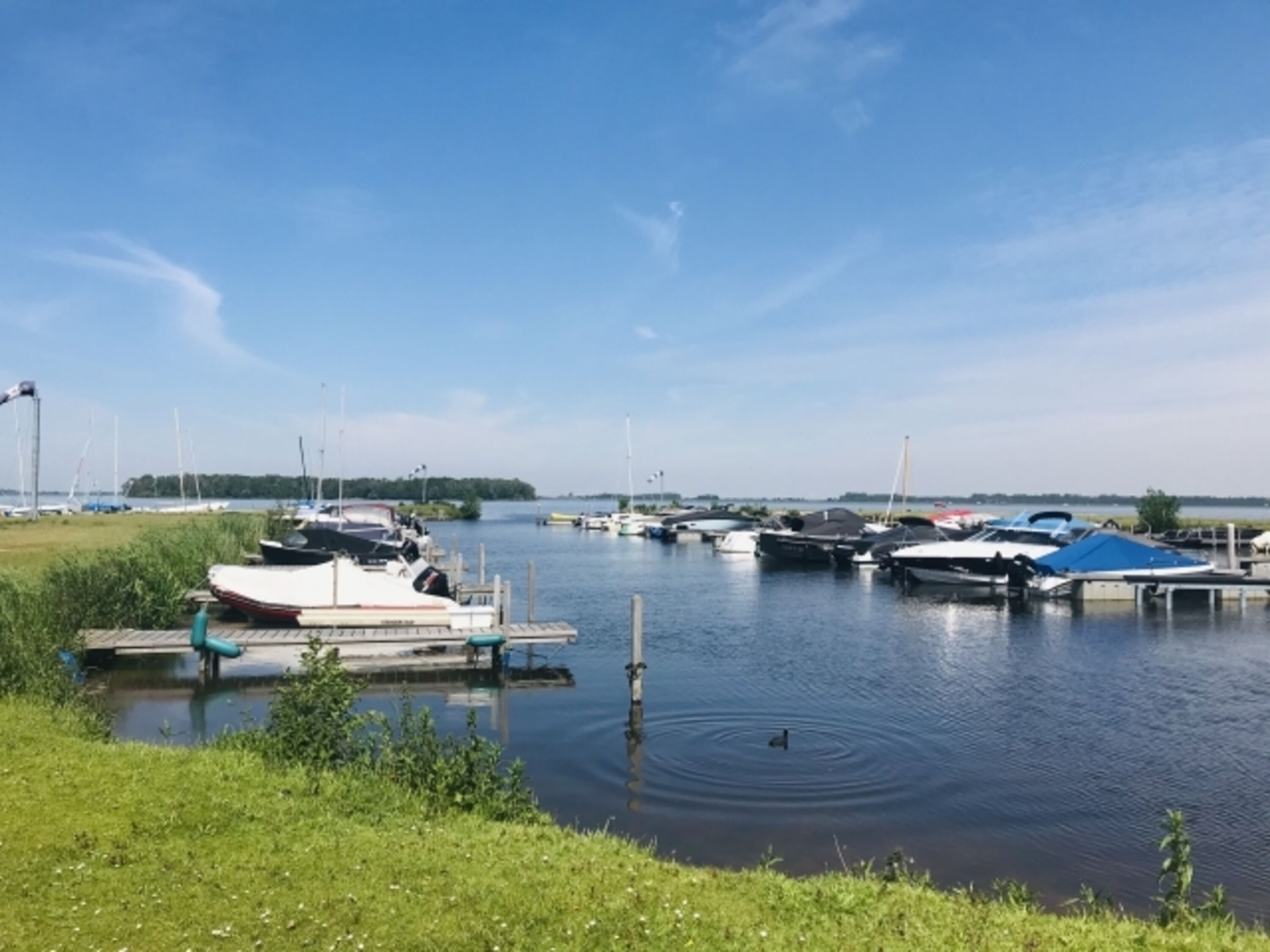 Hafen im Park 