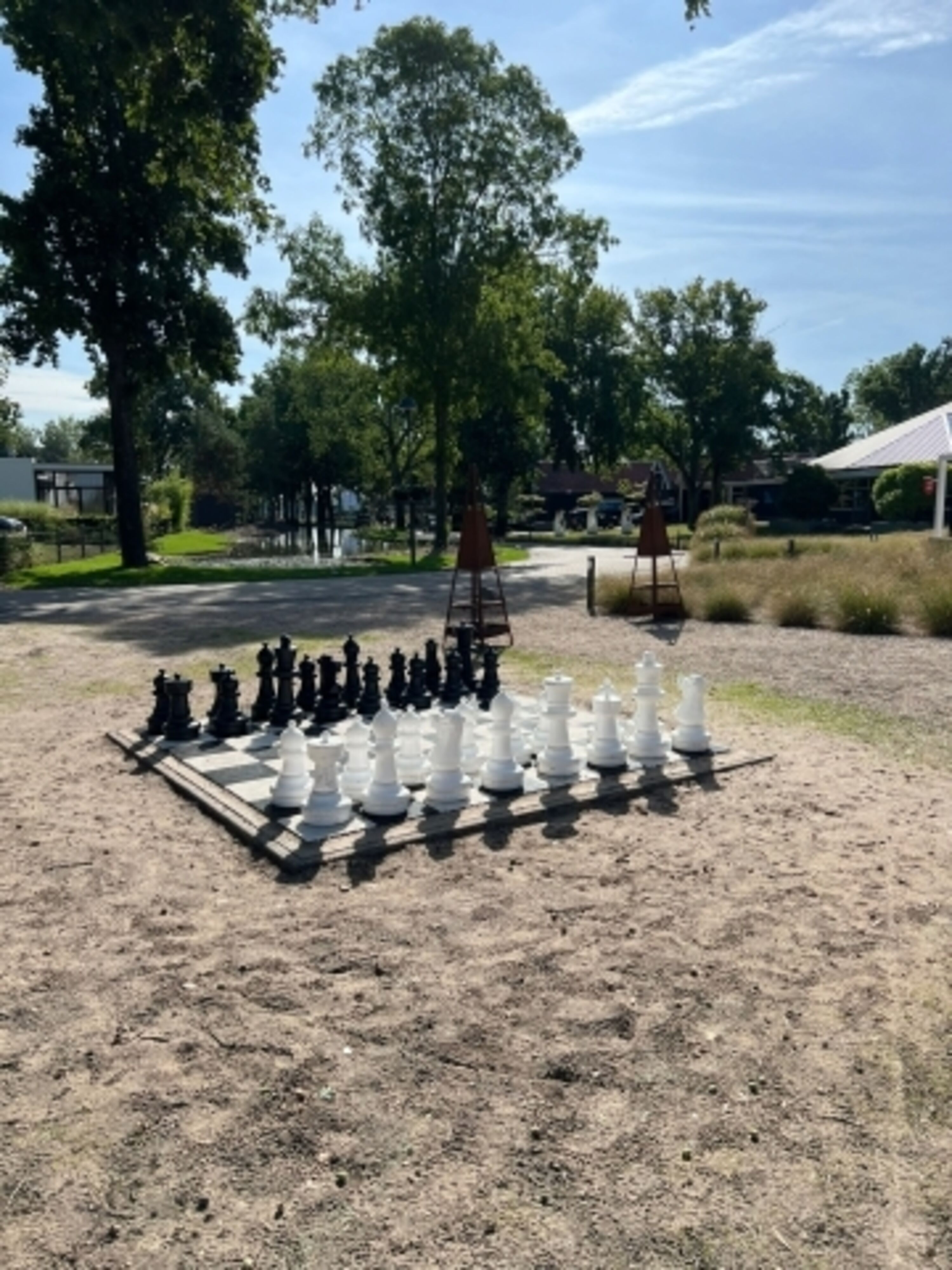 Schach