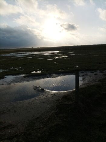 Wattenmeer
