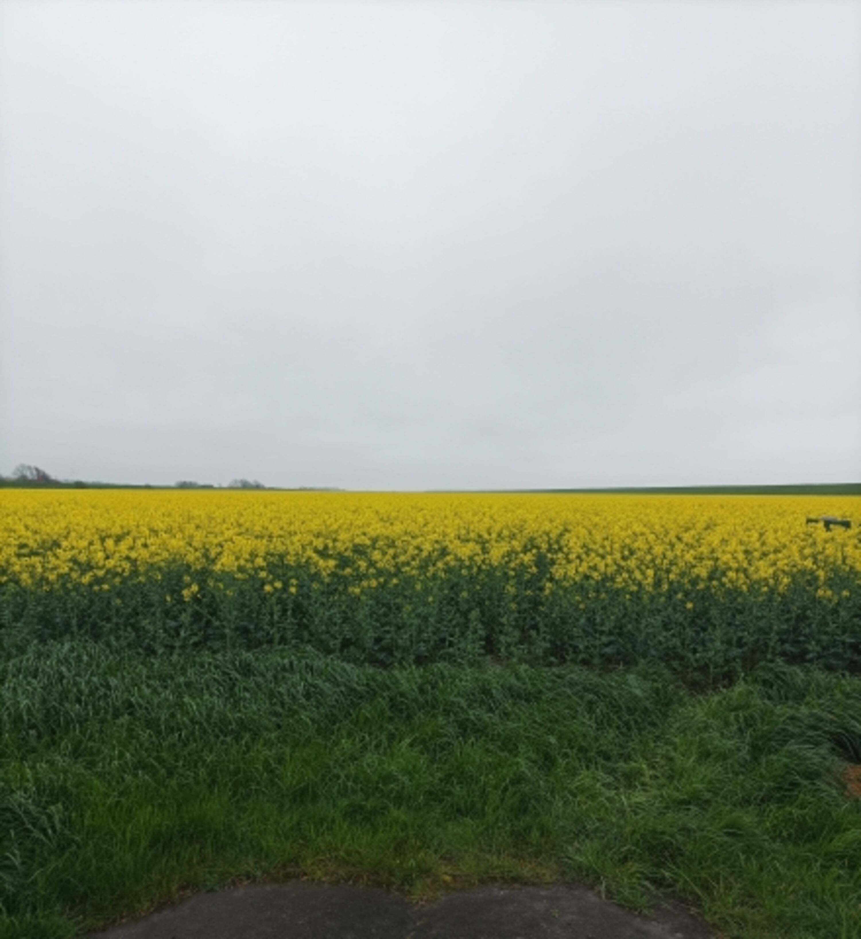 Frühling 