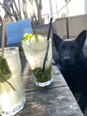 Pause vom Strandspaziergang mit Erfrischung