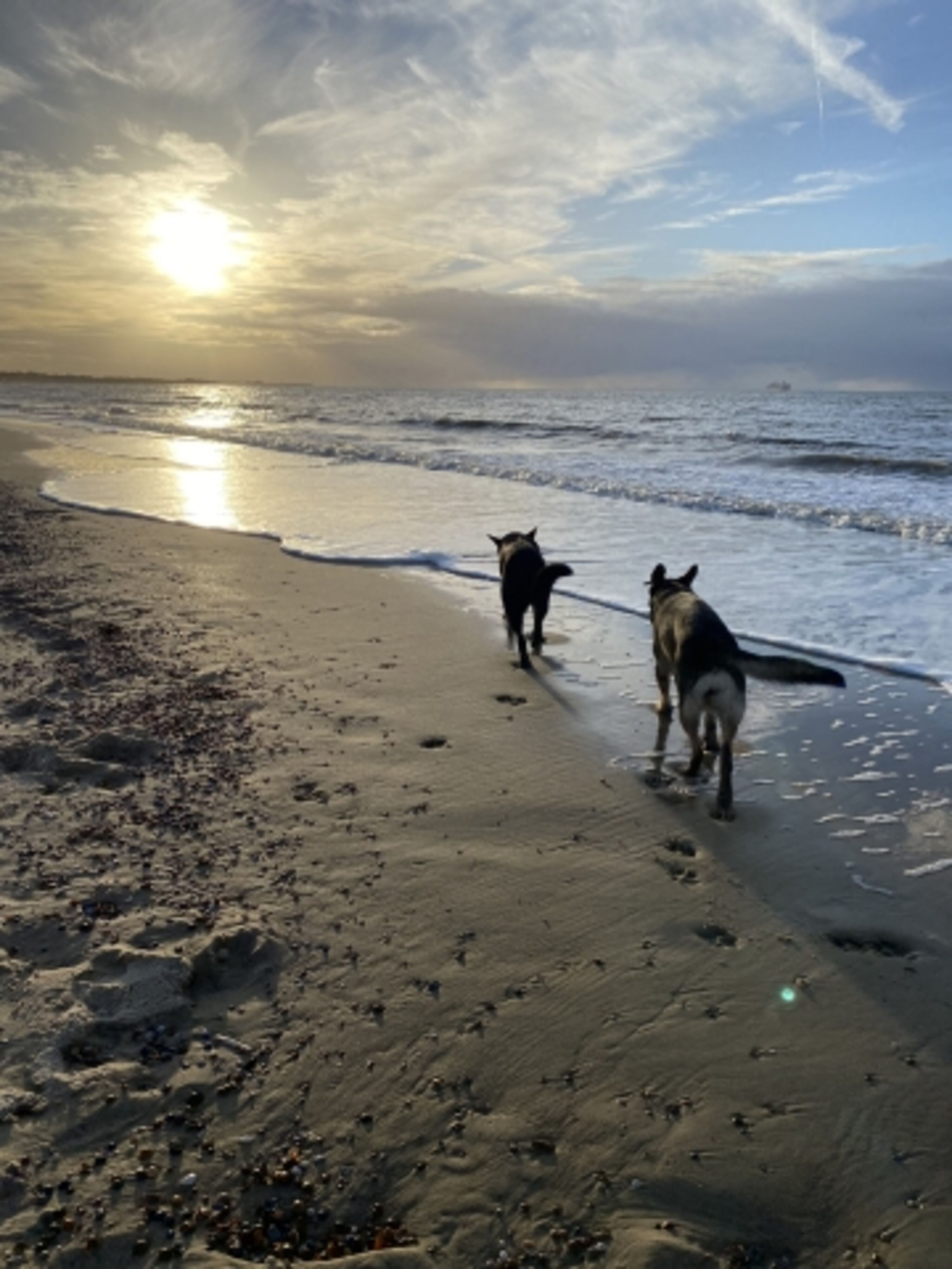 Strandspaziergang
