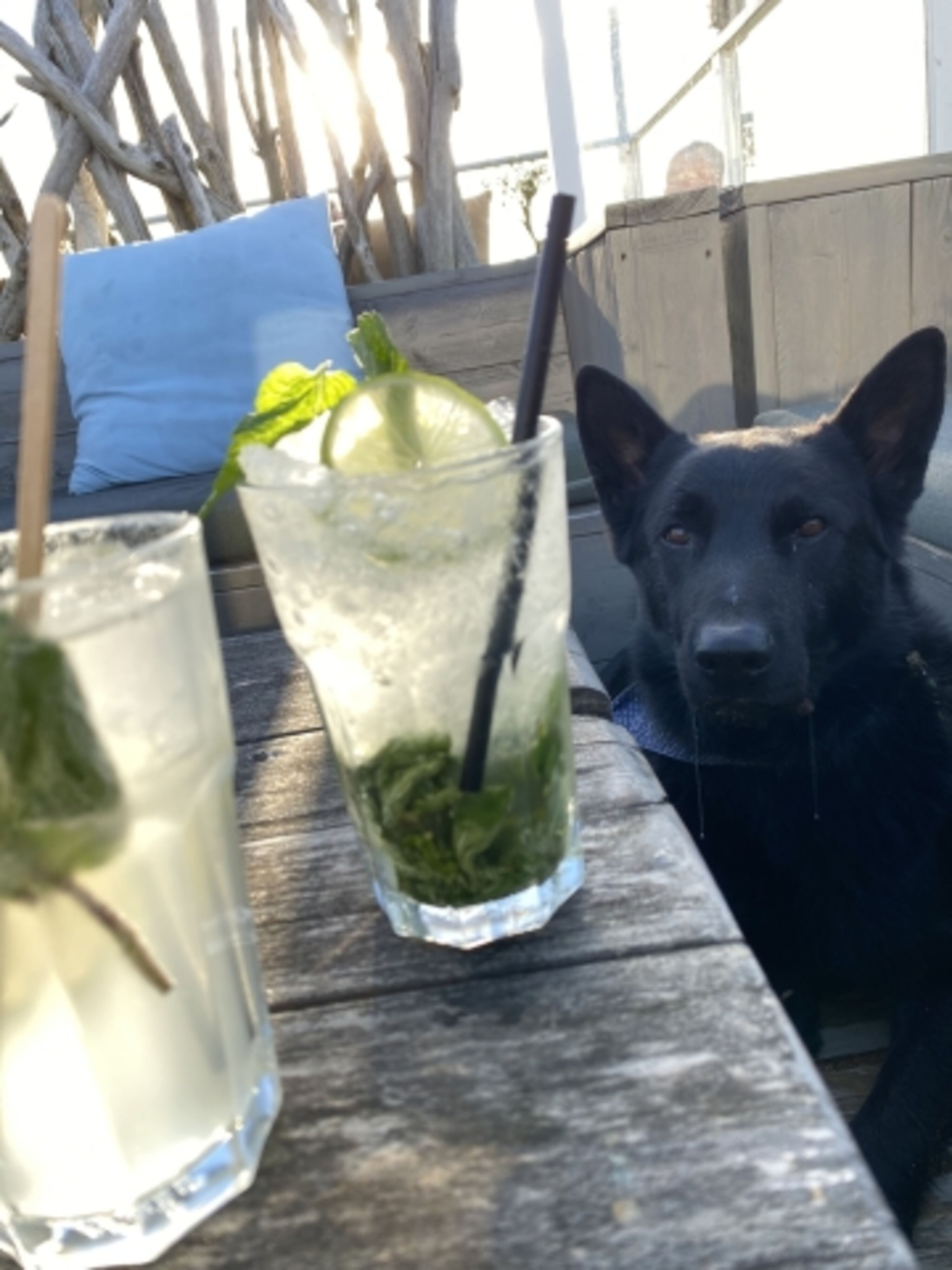 Pause vom Strandspaziergang mit Erfrischung