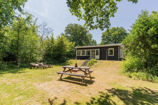 Der sonnige Garten mit Picknicktisch