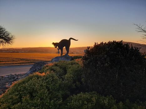 Blick auf den Katzenbuckel