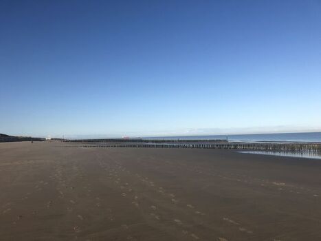 wann kommst Du zu uns nach Breskens?