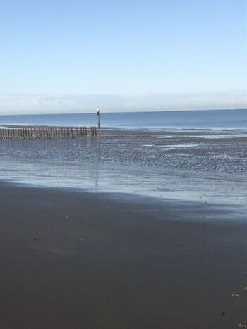 ganzjährig hundefreundlicher Strand
