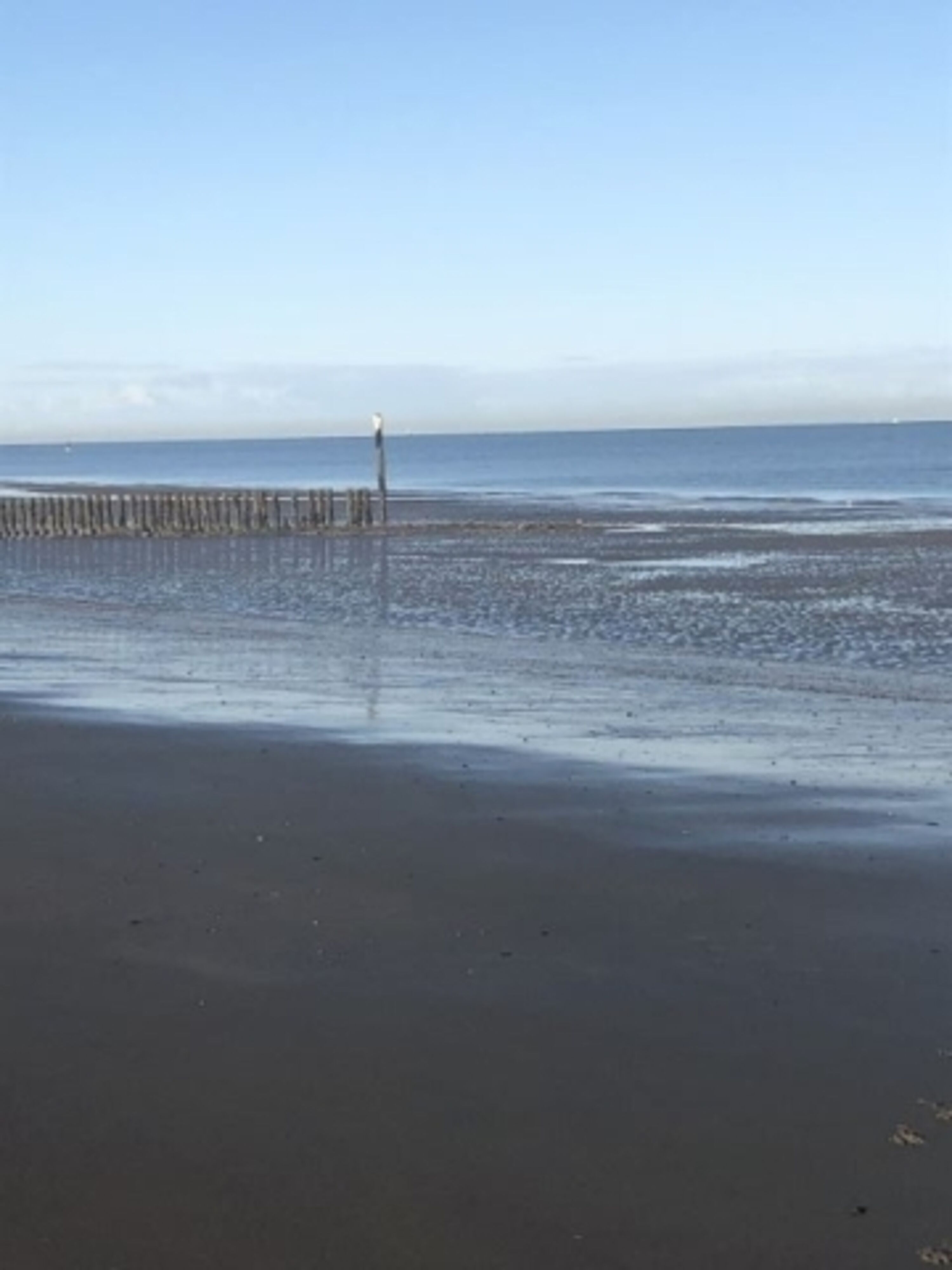 ganzjährig hundefreundlicher Strand