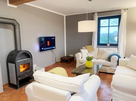 Wohnbereich mit Kaminofen
