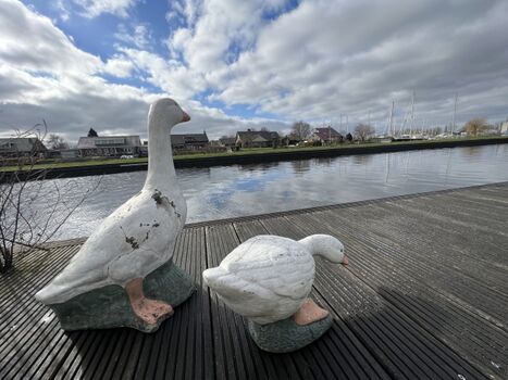 Bootssteg 10 Meter am Haus