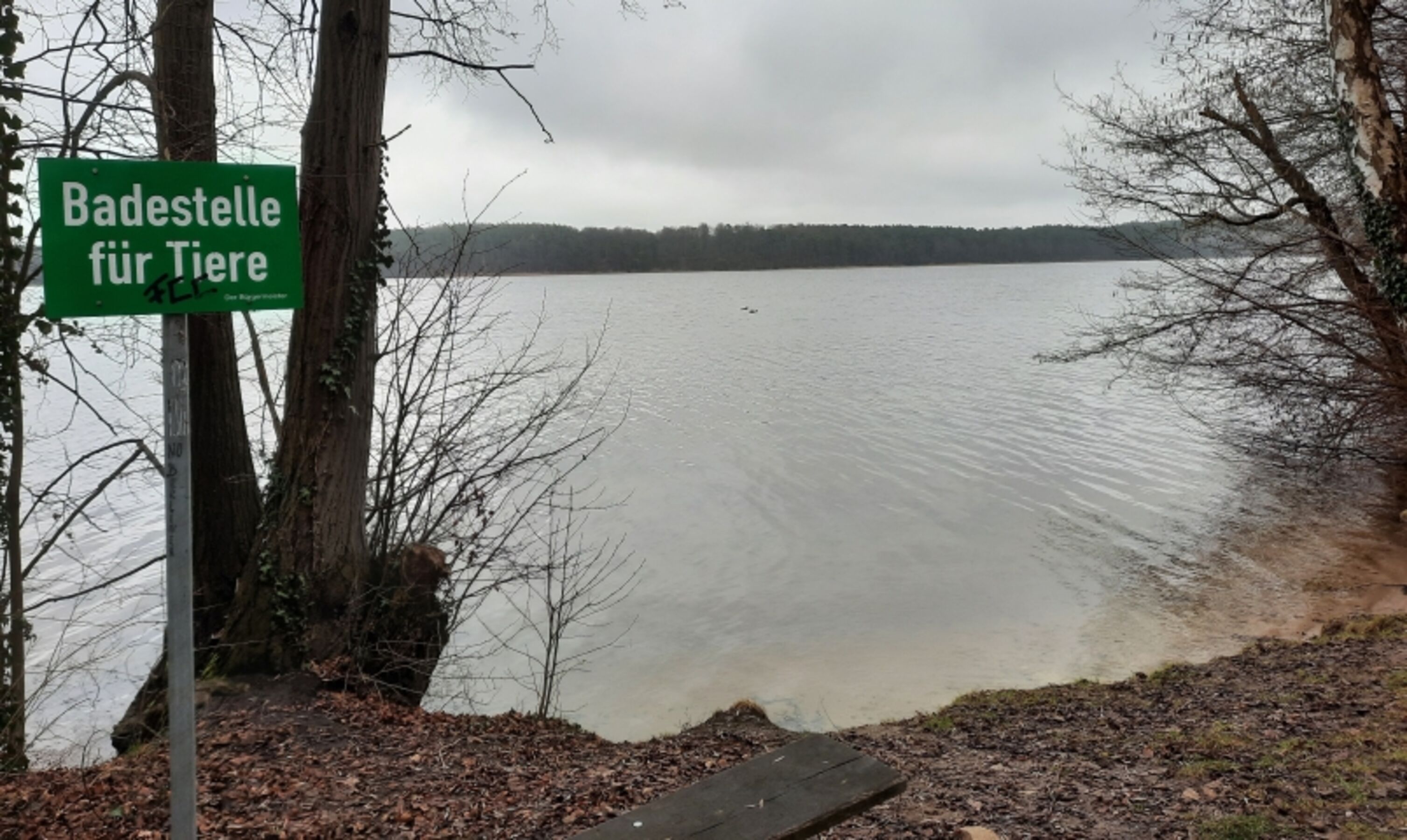 Hundebadestelle Schwarzer See