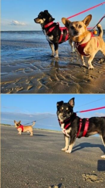 Wir heißen Sie willkommen!