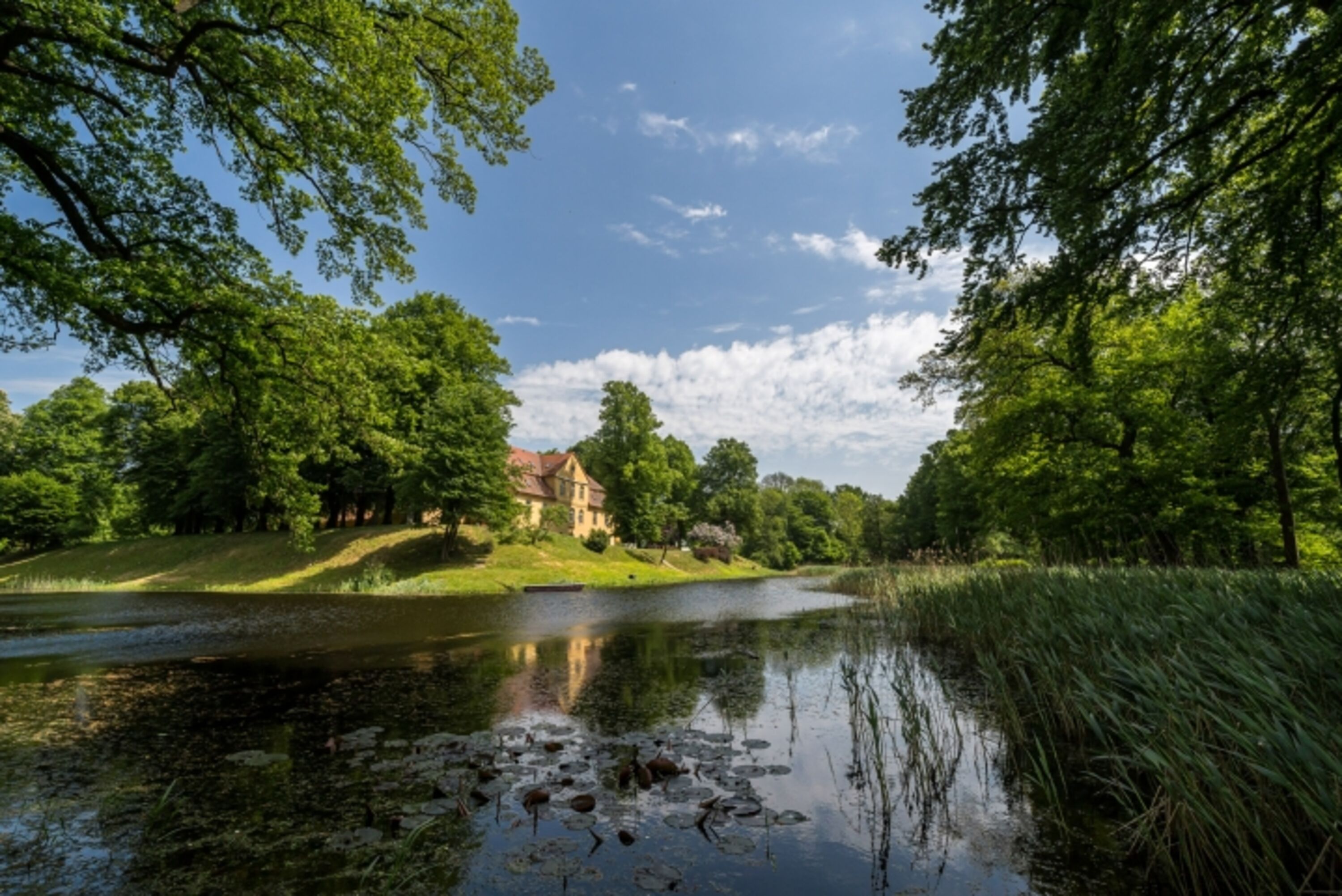 Blick vom Park