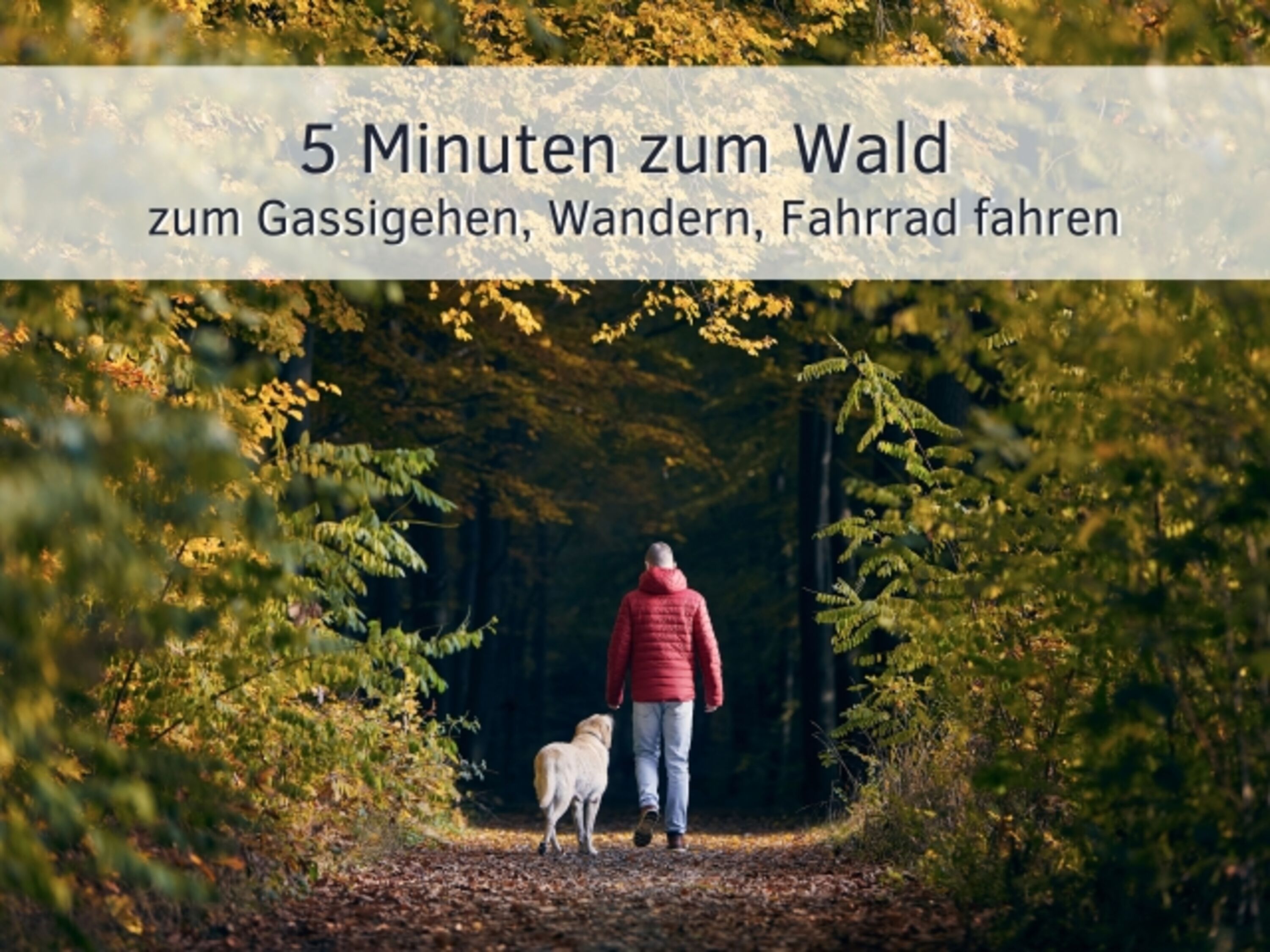 Bild 28