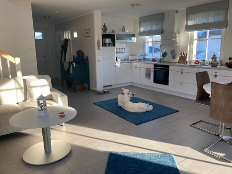 Wohn-Essbereich mit Küche