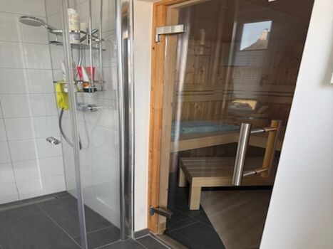 Sauna mit Dusche im EG