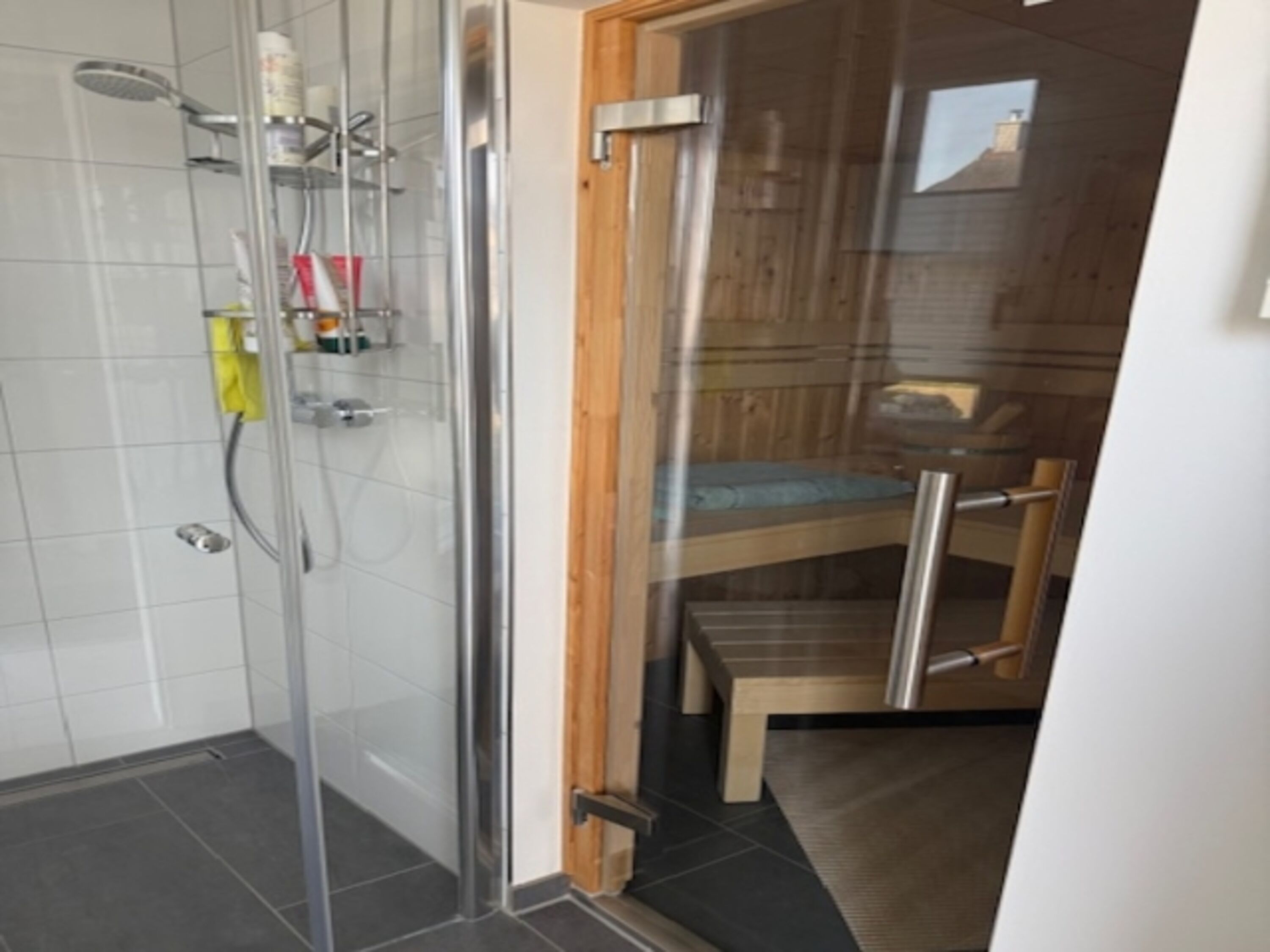 Sauna mit Dusche im EG