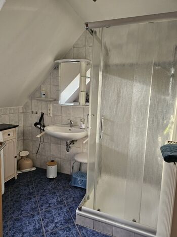 Badezimmer OG mit Kindertöpfchen und Kinder WC Verkleinerung 