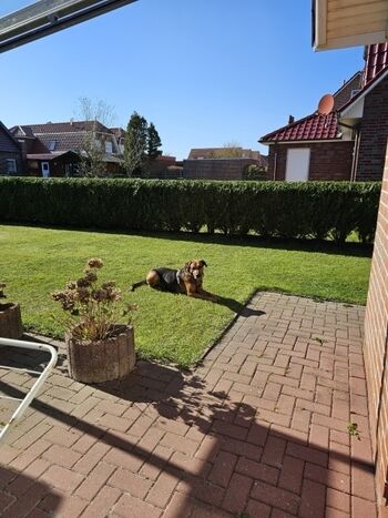 Eingezäunter Garten 